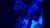 WP_20150814_13_46_39_Pro_LI.jpg