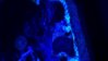 WP_20150814_13_46_56_Pro_LI.jpg