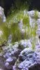 20190426_081740.jpg