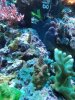 20190801_155255.jpg