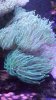 received_2771182719615355.jpeg
