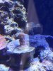 200126_075623_175.jpeg