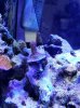 200126_075623_166.jpeg