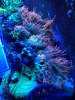 048E046D-800D-4C56-A9C8-AC79A732B6A9.jpeg