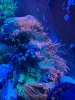 43779749-870B-427C-A03B-767F36B64018.jpeg