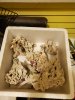 20201105_183512.jpg