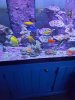 20210409_114829.jpg