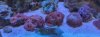 IMG_20230719_083535~2.jpg
