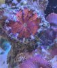 IMG_20230719_083551~2.jpg