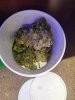 20240318_084501.jpg
