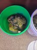 20240318_084459.jpg