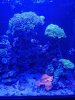 20250215_185840.jpg
