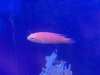 IMG_5459.jpeg