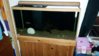 20160127_192955.jpg