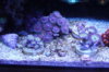DSC04597.JPG