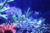 DSC04587.JPG