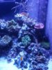 20170206_192833.jpg