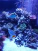 20170206_192835.jpg