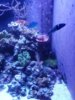 20170206_192837.jpg