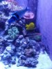 20170206_192842.jpg