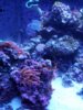 20170206_192847.jpg