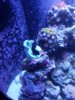 20170206_192902.jpg