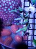 20170326_171750.jpg