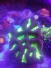 IMG_20171003_181554.jpg