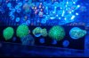 3FE2B3AA-108B-4292-BE40-64F28A6077CA.jpeg