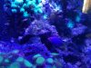 20171223_145950.jpg