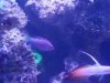 20171223_125955.jpg