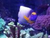 20170526_135706.jpg