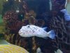 20180222_162316.jpg