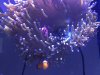 AB24CBE7-6ED0-4724-B7BC-BD7357CE421D.jpeg
