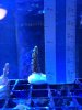 IMG_5263.JPG