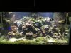 FE702819-DAB1-4976-B6CF-60977D03C63E.jpeg