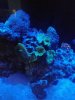 20180701_213523.jpg
