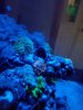 20180701_213514.jpg