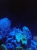 20180701_213550.jpg