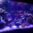 Jen/Reefin