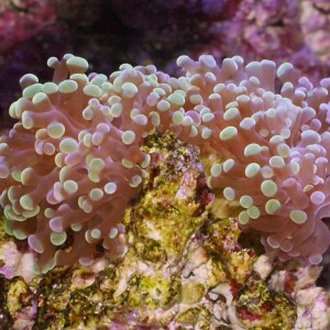 DSC05102