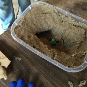 Rock Mold