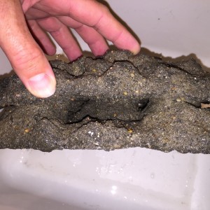Bud's DIY Rock