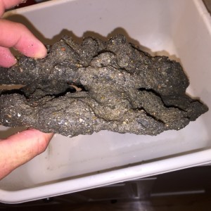 Bud's DIY Rock