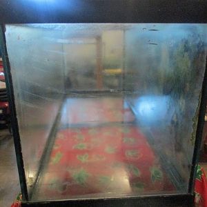 IMG_0789