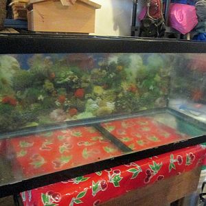 Front view of 75g