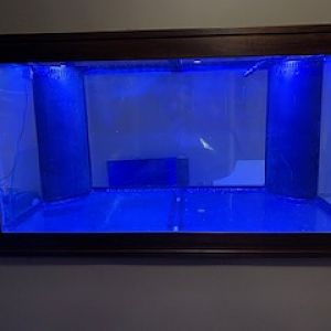 120 Tank