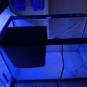 20 Gallon