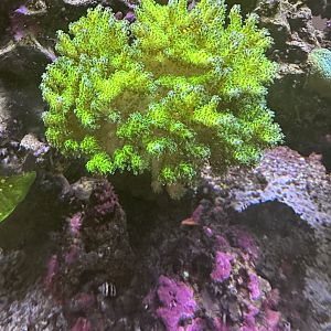 IMG_1275