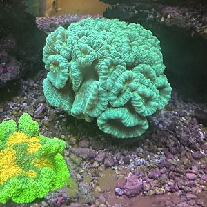 IMG_1274